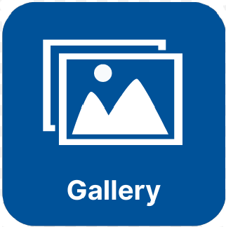 Gallery of pictures.