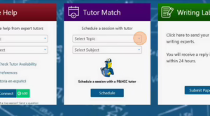 brainfuse tutor match topic subject selection